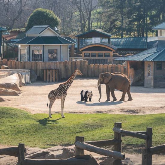 largest zoo in the world