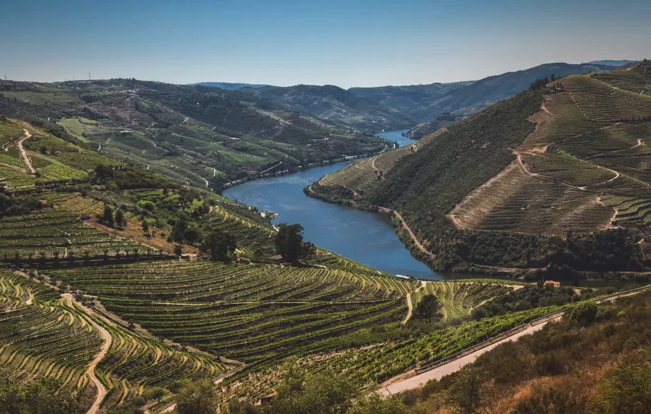 Douro Valley – Vineyards Between the Hills