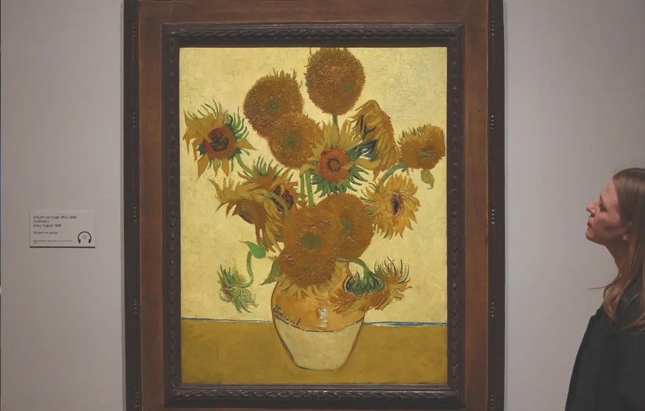 Top Things to See at The Museum