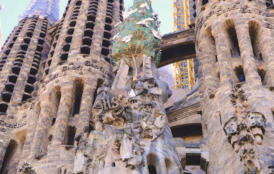 Tree of Life or turtles