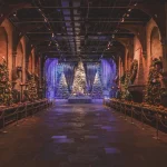 Harry Potter Studios Opening Times